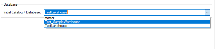 Dropdown menu showing database options: TestLakehouse, master, Test_SampleWarehouse.